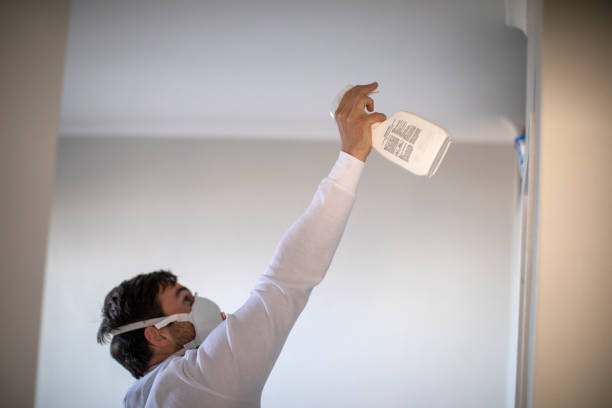 East Grand Forks, MN Mold Removal Company