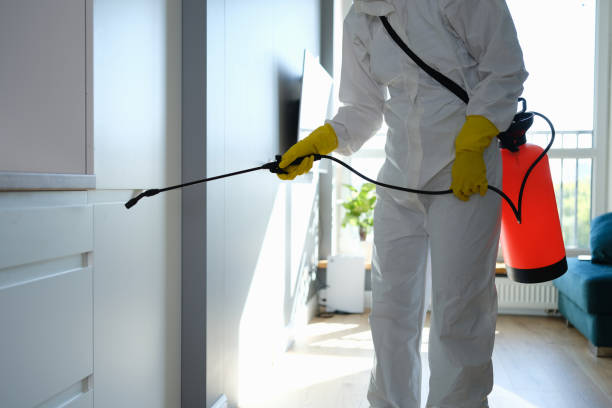 Best Commercial Mold Removal  in East Grand Forks, MN